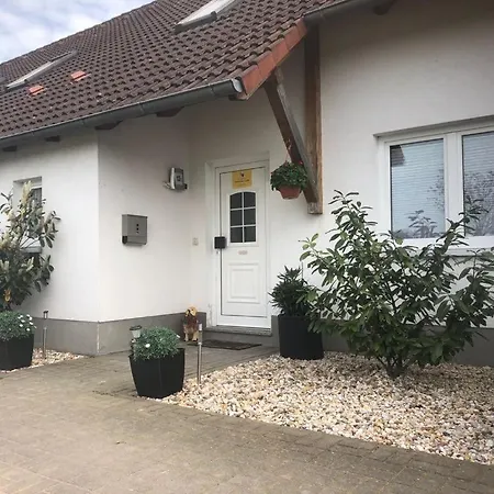 Apollo Wittenberg